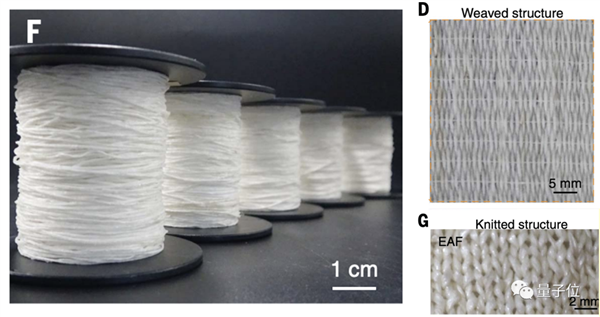 浙大“北極熊毛衣”登Science：保溫效率達(dá)羽絨服5倍