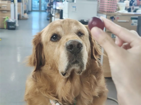 2024年了 抖音為什么還要做搜索引擎？