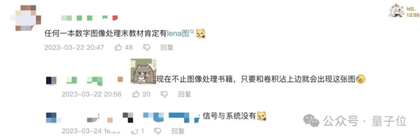 “計(jì)算機(jī)視覺(jué)女神”被IEEE期刊封殺