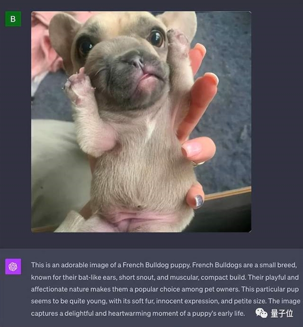 大跌眼鏡！GPT-4V錯(cuò)覺(jué)挑戰(zhàn)實(shí)錄：該錯(cuò)的沒(méi)錯(cuò) 不該錯(cuò)的反而錯(cuò)了