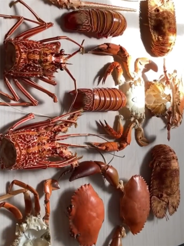 海鮮尸體爆改變異螃蟹人：隔壁小孩嚇哭了！