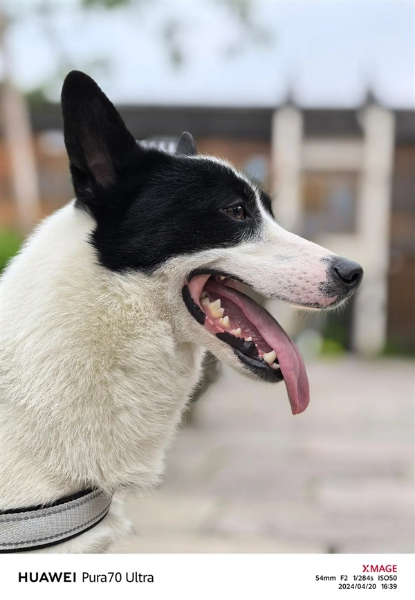 體驗了三天華為Pura 70 Ultra 我明白了為啥P系列要改名