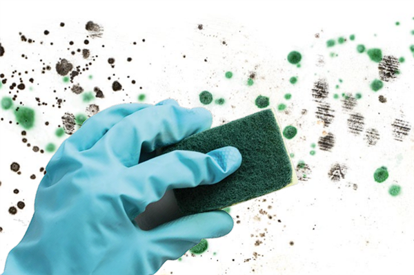 國際公認(rèn)的1類致癌物：就藏在你家中！