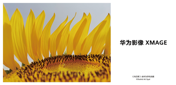 華為手機(jī)10組大片震撼現(xiàn)身7大城市：讓更多人看見、感受、傳遞影像力量