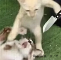 OpenAI泄密者光速投奔馬斯克