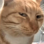 俄羅斯保安逆天操作：上班無聊竟然把藝術(shù)品吃了