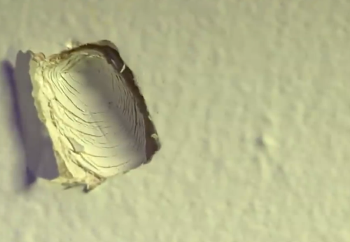 妹子穿卡戴珊緊身衣身中4槍都沒死 這是穿了防彈衣嗎？