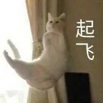 顏值第一、性能第二 今天官宣這手機(jī)全都要