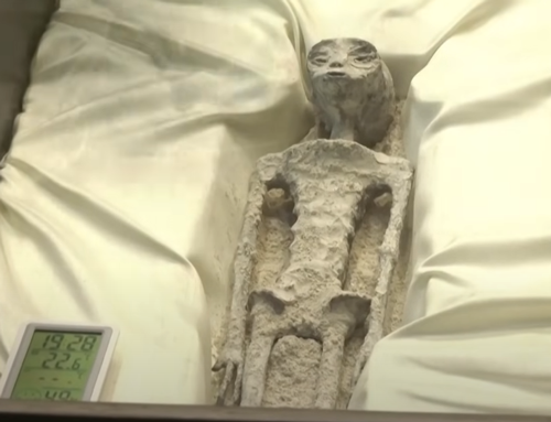 2023年奇異事件Top15：狗開槍打死主人、挖外星人祖墳