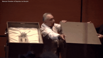 地球上發(fā)現(xiàn)的外星人實(shí)體內(nèi)還有三顆蛋？