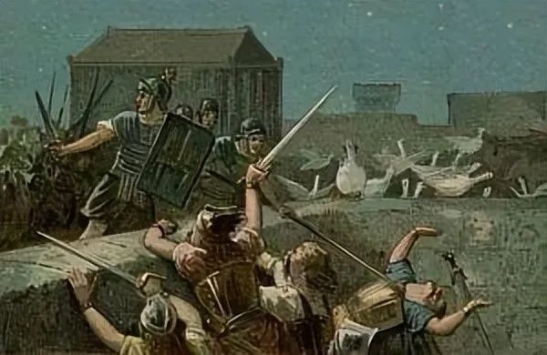 巴西監(jiān)獄用鵝看犯人:不奇怪 中國邊境有500只編制鵝巡邏(圖3) 巴西監(jiān)獄用鵝看犯人:不奇怪 中國邊境有500只編制鵝巡邏