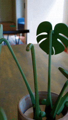 狠人用仙人掌當牙簽！“國產(chǎn)凌凌漆”看了都得服