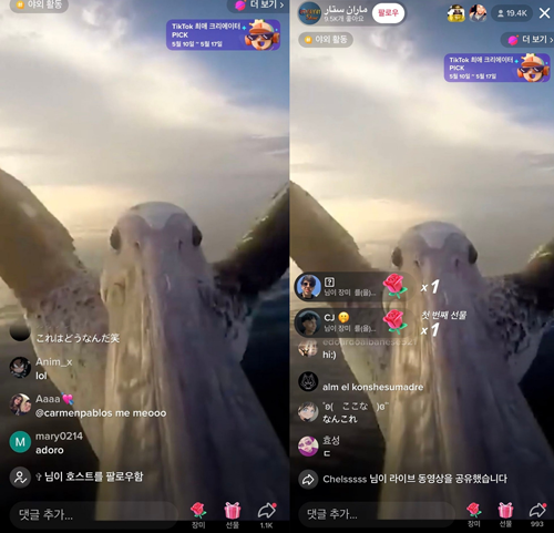 美女自拍時手機被鳥搶走！手機秒變飛機、還拍了視頻