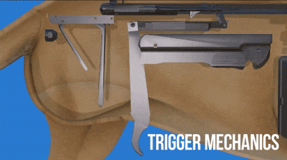 美國(guó)如何用鴿子搞暗殺：有網(wǎng)友把這個(gè)腦洞做出來(lái)了！