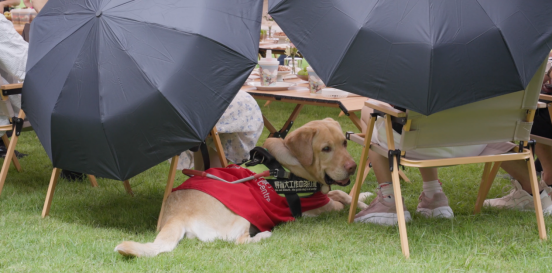 和他們聊了聊 我才知道華為為什么要“吃力不討好”