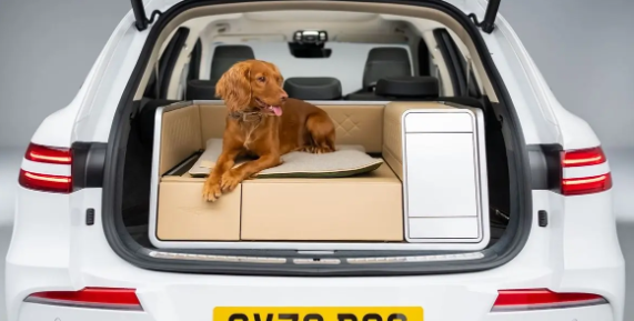 全球首創(chuàng)狗狗座椅！捷尼賽思GV70發(fā)布寵物專(zhuān)屬套件