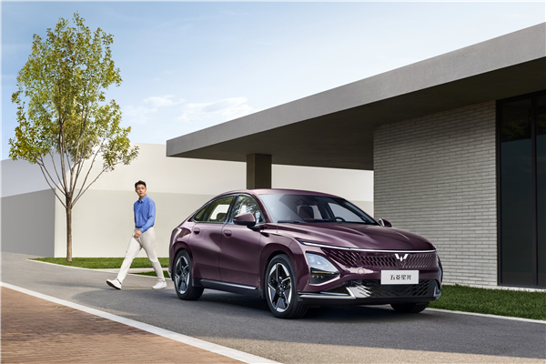 拋棄“兩逸一拉” 從“油電同價”開始！(圖5)