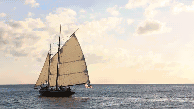 奇聞：為了保護疫苗 200多年前 竟然用孤兒活體運輸