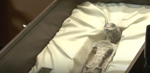 地球上發(fā)現(xiàn)的外星人實(shí)體內(nèi)還有三顆蛋？