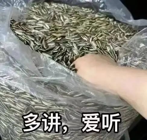 東方甄選、小楊哥扎堆出海：可不止是狠狠賺老外的錢