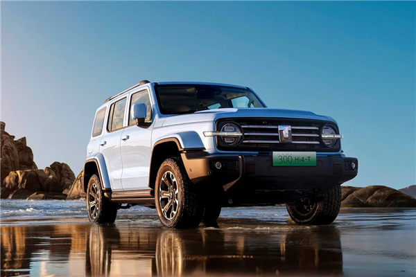 聚焦北京車展：熱門SUV盤點(diǎn) 家用/越野全在行 它們可以直接買(圖15)