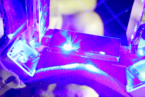 小伙用激光網(wǎng)殺蚊子：有生化危機(jī)的感覺(jué)了！