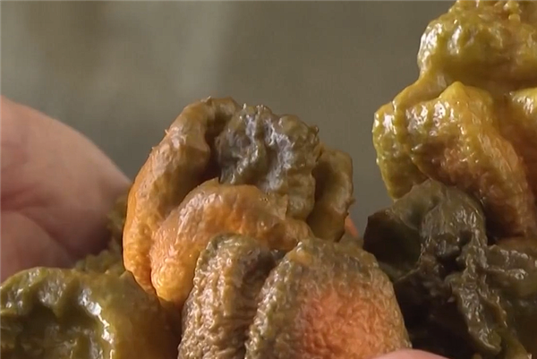 美國(guó)14歲少年挑戰(zhàn)最辣玉米片被辣死：科普世界十大最辣辣椒