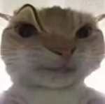 100年前的巴黎奧運(yùn)會(huì)比賽殺鴿子 10個(gè)已經(jīng)消失的奧運(yùn)項(xiàng)目(圖16) 100年前的巴黎奧運(yùn)會(huì)比賽殺鴿子 10個(gè)已經(jīng)消失的奧運(yùn)項(xiàng)目