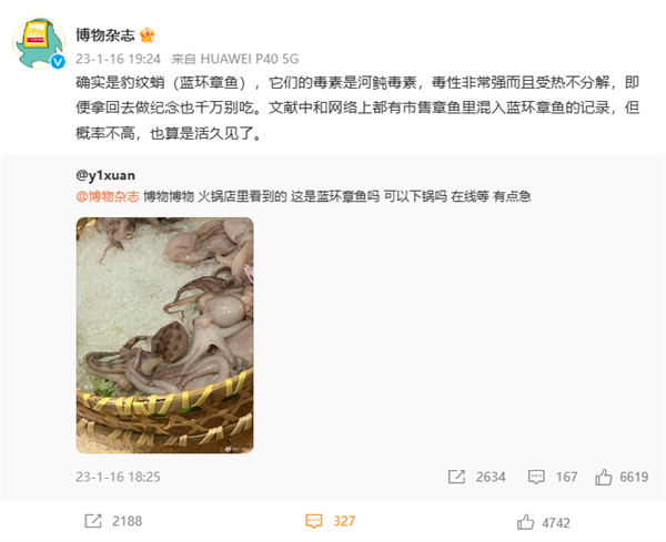 劇毒藍(lán)環(huán)章魚再現(xiàn) 網(wǎng)友：山姆超市買的、沒吃直接給扔了