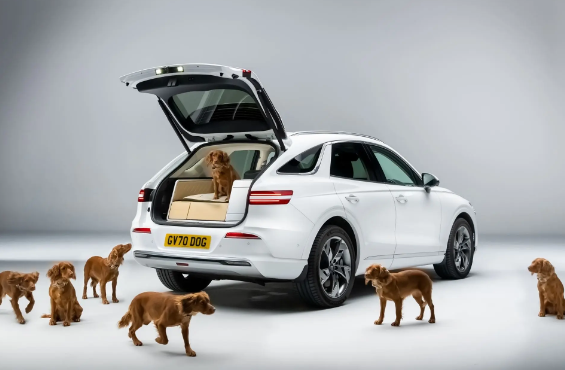 全球首創(chuàng)狗狗座椅！捷尼賽思GV70發(fā)布寵物專(zhuān)屬套件
