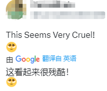 這只鴿子的胸肌為何這么發(fā)達？