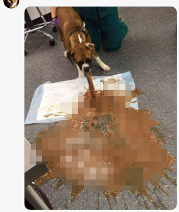 乘客腹瀉拉了一飛機導(dǎo)致緊急返航 300多人聞了一路