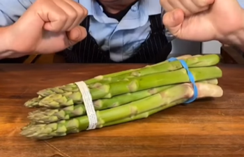 醫(yī)生從患者肚子里扯出一條活鰻魚(yú) 這不比異形還刺激