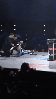 AI機(jī)器人和人類互扇耳光：你猜最后誰能贏