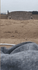 美女自拍時手機被鳥搶走！手機秒變飛機、還拍了視頻