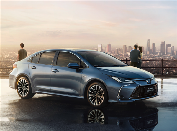 豐田卡羅拉停路邊 車屁股被狗撞裂開(kāi) 網(wǎng)友：日系吸能不是吹的