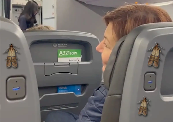 美國一客機(jī)緊急疏散乘客 原因大跌眼鏡：客艙內(nèi)有飛蛾