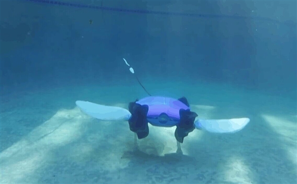 美國(guó)科學(xué)家成功研發(fā)水陸兩棲機(jī)器人：海龜見了想認(rèn)親