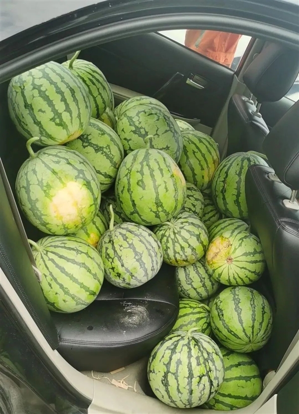 私家車高速拋錨 司機(jī)走下高速 滿滿一車西瓜太矚目