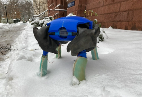 美國(guó)科學(xué)家成功研發(fā)水陸兩棲機(jī)器人：海龜見了想認(rèn)親