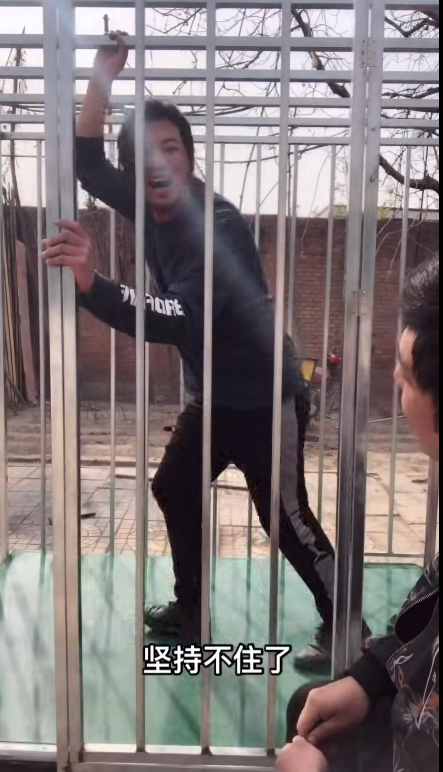 原來手工耿的破釜沉舟跑步機現(xiàn)實中早就有了 專給狗用