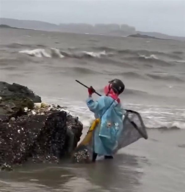 臺(tái)風(fēng)后生蠔遍地市民組團(tuán)趕海：不建議盲目參與