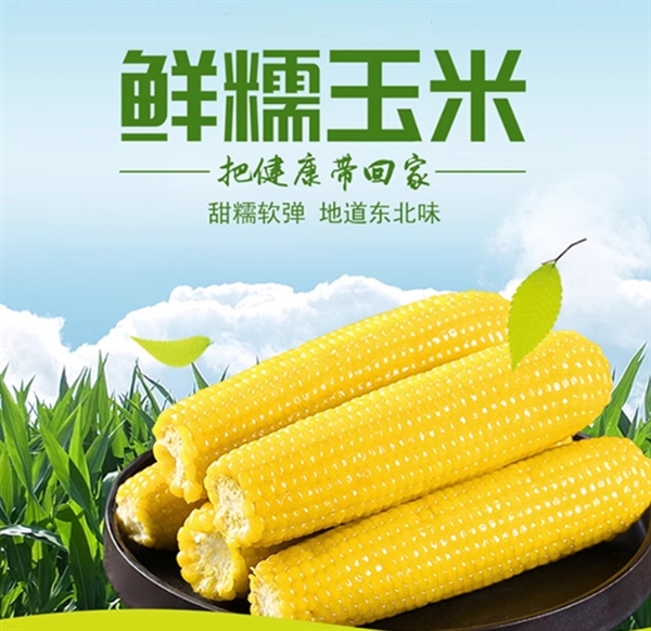 獨(dú)立真空包裝：吉林省農(nóng)投集東北糯玉米19.9元/8根