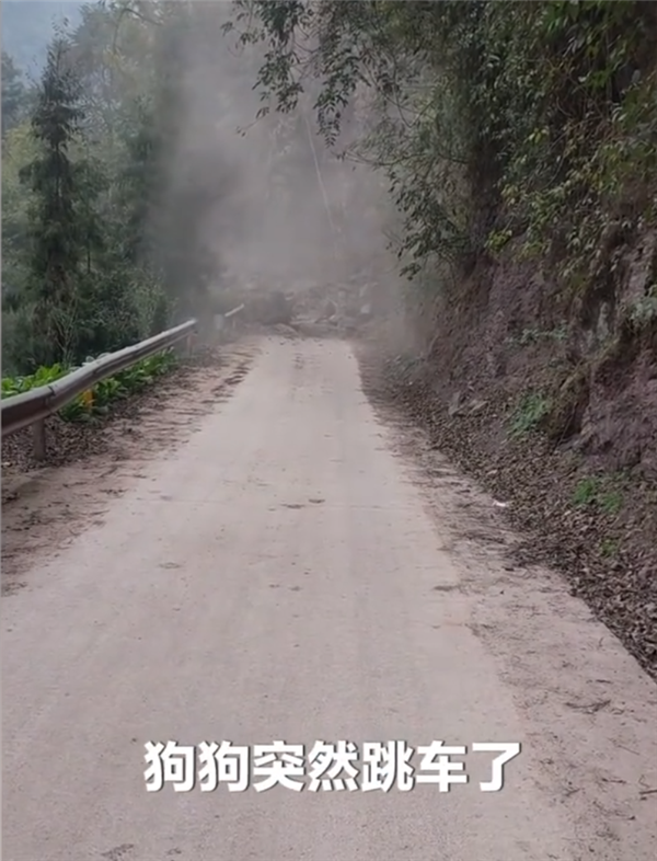 萬物有靈 被收養(yǎng)流浪狗跳車攔住懷孕主人 下一秒山路塌方(圖1) 萬物有靈 被收養(yǎng)流浪狗跳車攔住懷孕主人 下一秒山路塌方