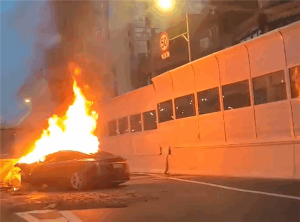 成都高架一特斯拉撞上路墩 整車(chē)被大火完全吞沒(méi)