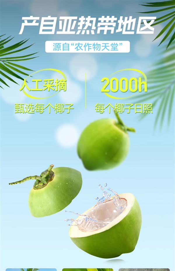 配料表只有椰子水！海藍(lán)優(yōu)鮮椰子水大促：兩件券后19.8元