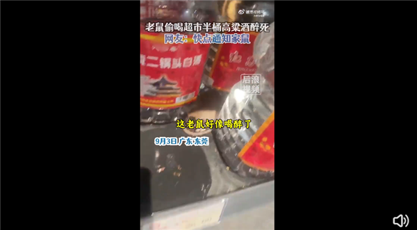 老鼠咬壞白酒桶醉倒在超市 直接少了半桶：網(wǎng)友感慨好酒量 超市回應(yīng)