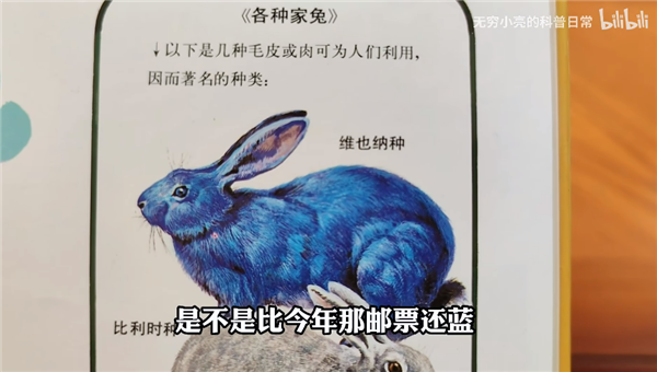 真有郵票里那么藍的兔子？無窮小亮科普