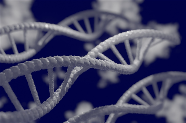 瑞典2歲罕見(jiàn)病女童在廣州重獲新生 女童父親：我們問(wèn)遍了全世界