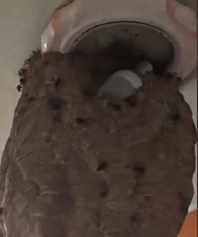 空置一年 居民家里驚現(xiàn)一米多巨型馬蜂窩 讓人頭皮發(fā)麻